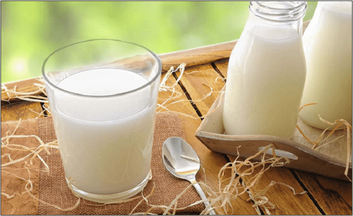 Discover the Nutritional Benefits of Fresh Camel Milk in The UK